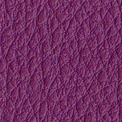 violeta-126
